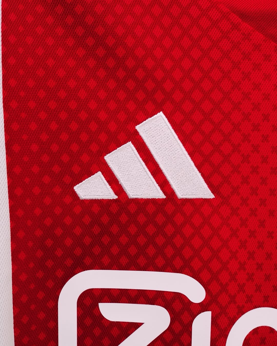 Ajax Amsterdam 2025-25 home jersey (player version)