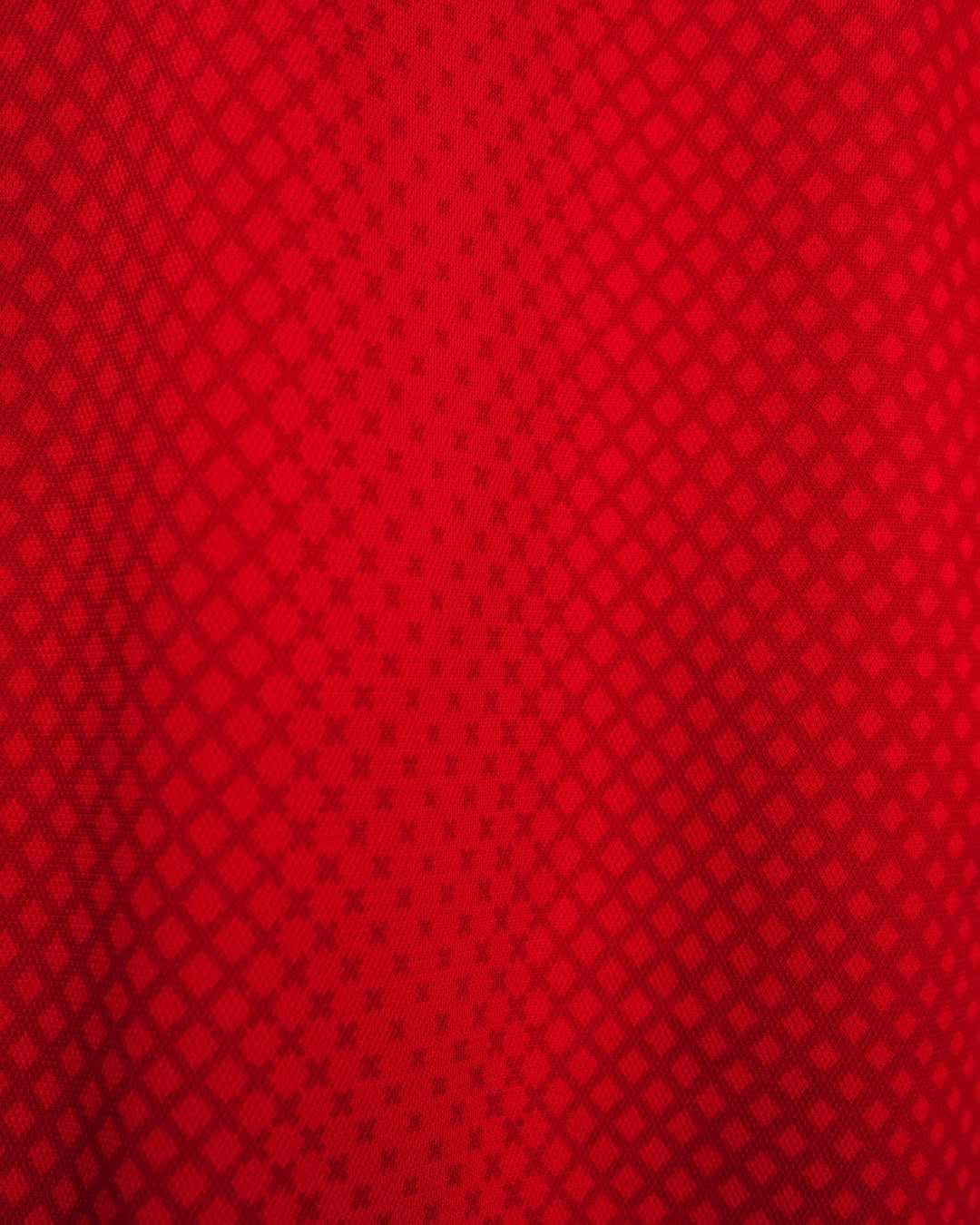 Ajax Amsterdam 2025-25 home jersey (player version)